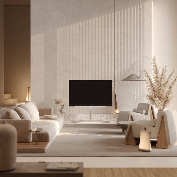 Loewe Bild V - Electro World