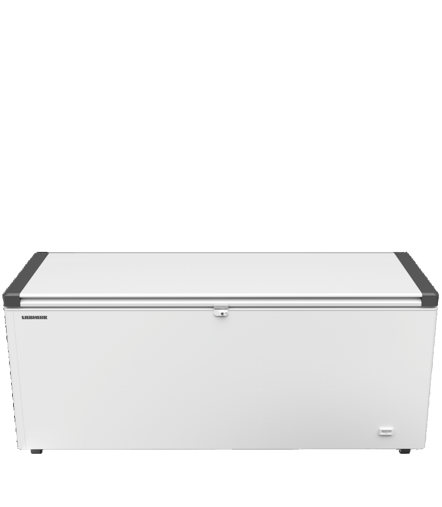 Liebherr EFL 6055-21