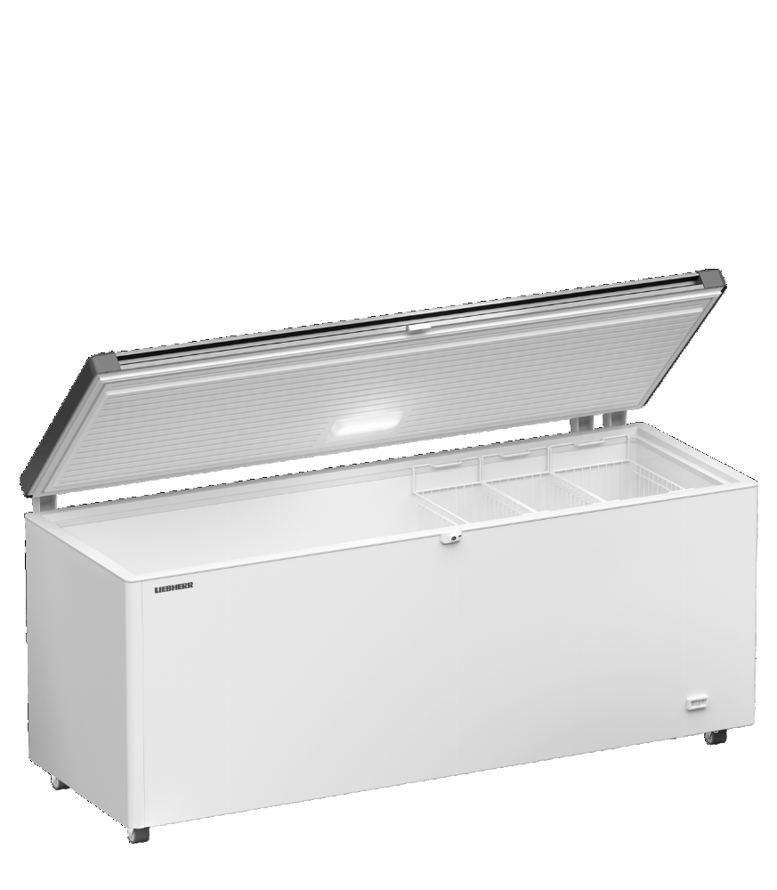 Liebherr EFL 6056-21